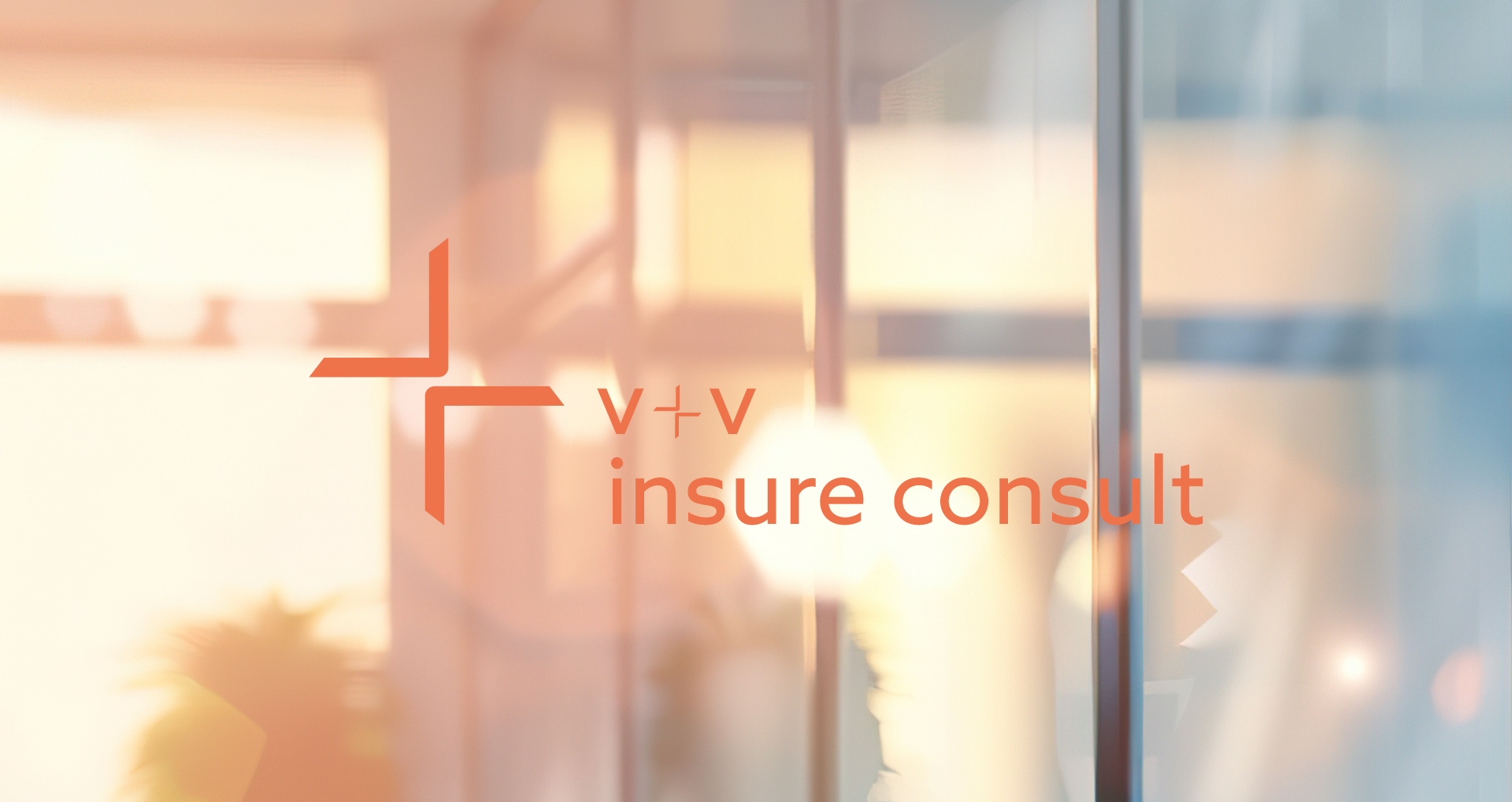 V+V Insure Consult